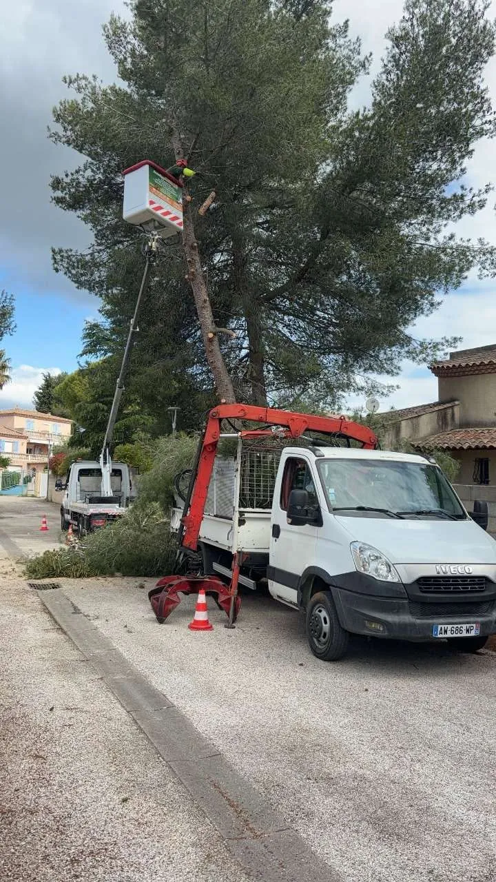 Élagage d’un grand pin avec nacelle et camion d’évacuation par Gargowitch Élagueur