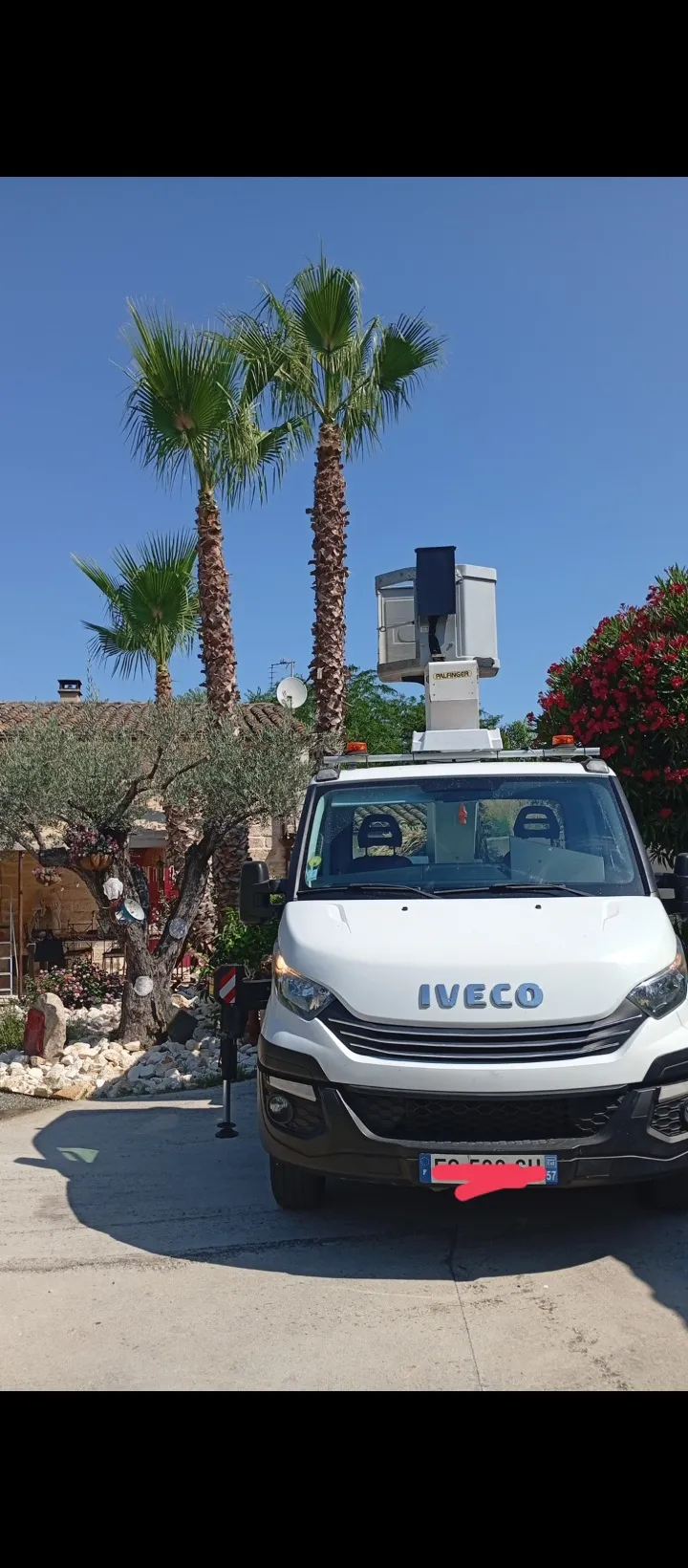 Intervention avec nacelle pour l’entretien de palmiers et d’olivier en jardin méditerranéen