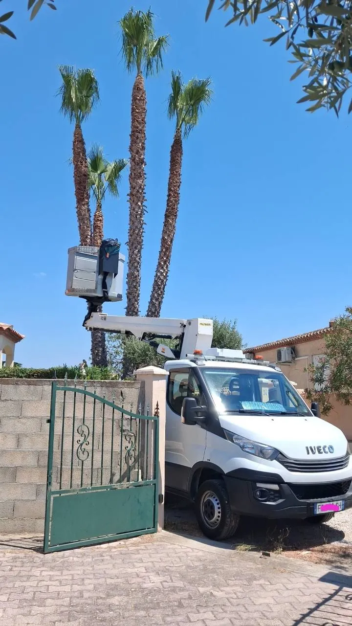 Camion nacelle Gargowitch Élagueur pendant l’entretien de plusieurs palmiers dans un jardin résidentiel